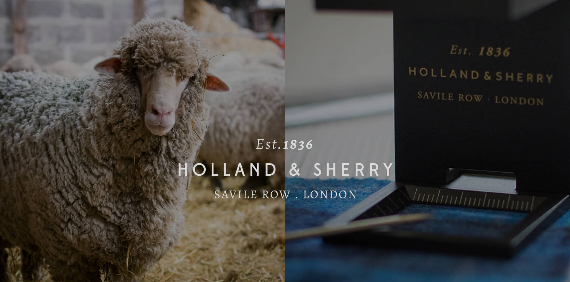 Holland Sherry Banner